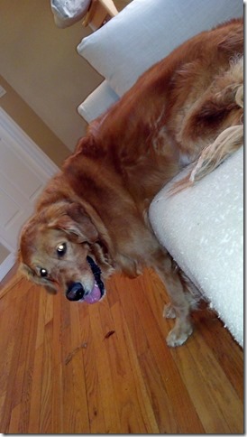 2012-11-18_15-48-25_502