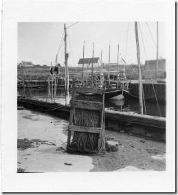 PCR-219 fishing harbor nets drying