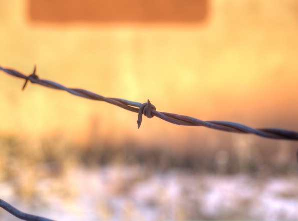{Image:  close up of a photo of a single barb in a strand of barbed wire.  In the background, and out of focus, is the side of an adobe building.}