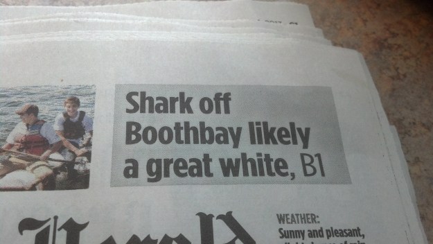 {Image:  photo of newspaper headline, "Shark off Boothbay likely a great white, B1."}