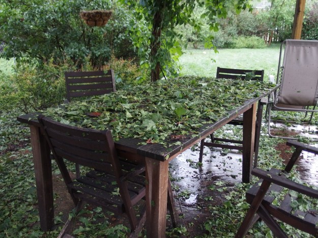 Image:  picnic table and chairs covered with wet, green leaves.  