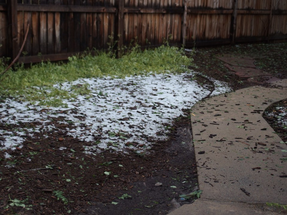 Image: mulched area half-covered with small hailstones.