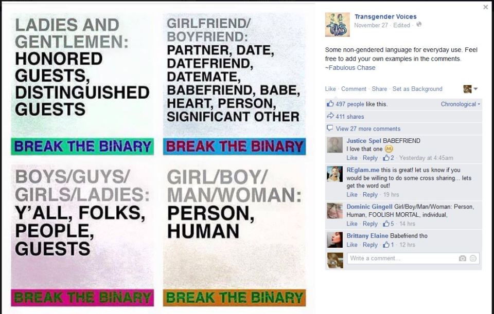 Image: [4 text boxes suggesting alternatives to binary language; each has the words "Break the Binary" at the bottom] Top left: "Ladies and Gentlemen: Honored Guests, distinguished guests. Top right: Girlfriend/boyfriend: Partner, date, datefriend, datemate, babefriend, babe, heart, person, significant other. Bottom left: boys/guys/girls/ladies: Y'all, folks, people, guests. Bottom right: girl/boy/man/woman: person, human.